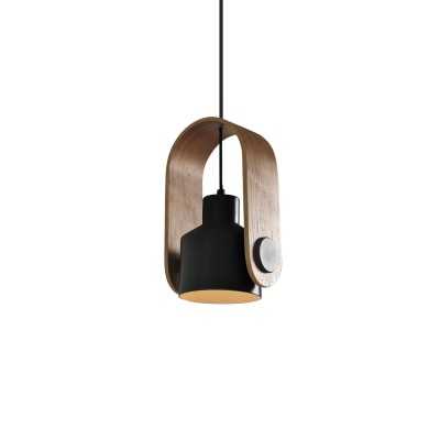 Einfache Pendelleuchte GLAND aus Holz, E27, farbig