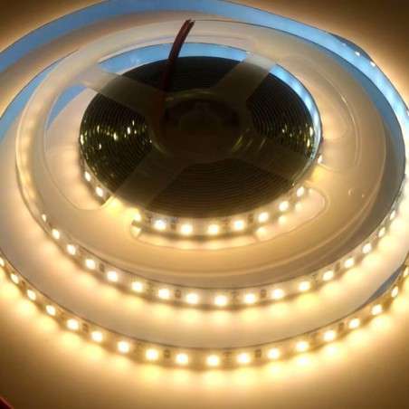 Rollo 5 mts tira LED 24V abertura 120º varias potencias regulable IP65 exterior