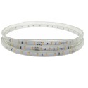Rollo 5 mts tira LED 24V abertura 120º varias potencias regulable IP65 exterior