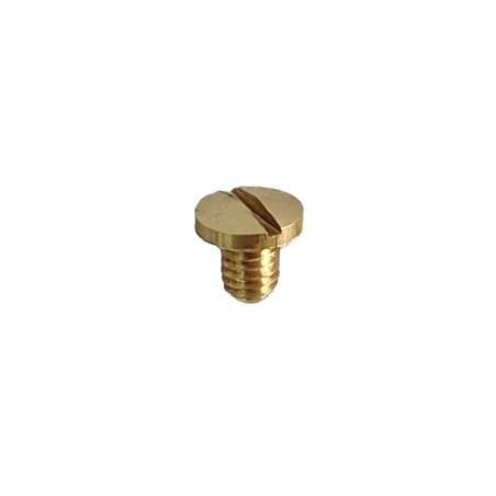 Schraube fuer Leuchten M4 x 6 mm O7 mm gold mit Schlitzkopf